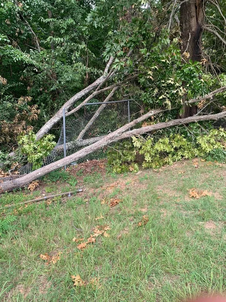 Top-rated lawn mowing service for beautiful yards across Birmingham, AL - 5150 Landscape & Tree Services