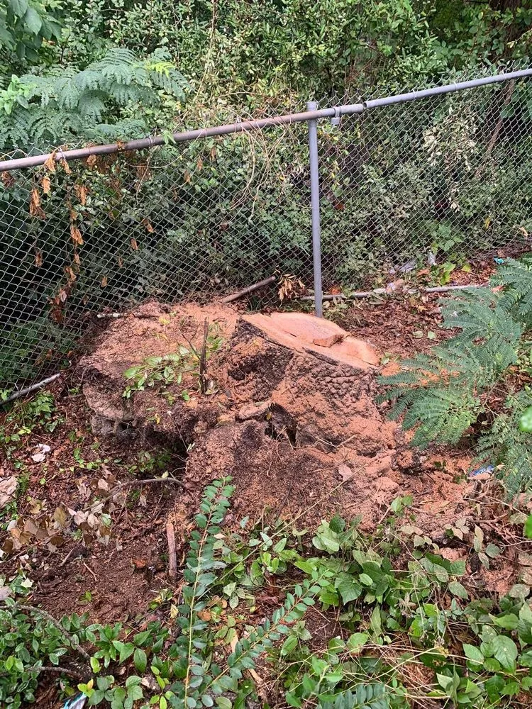 Top-rated residential landscaping for residential properties across Birmingham, AL - 5150 Landscape & Tree Services