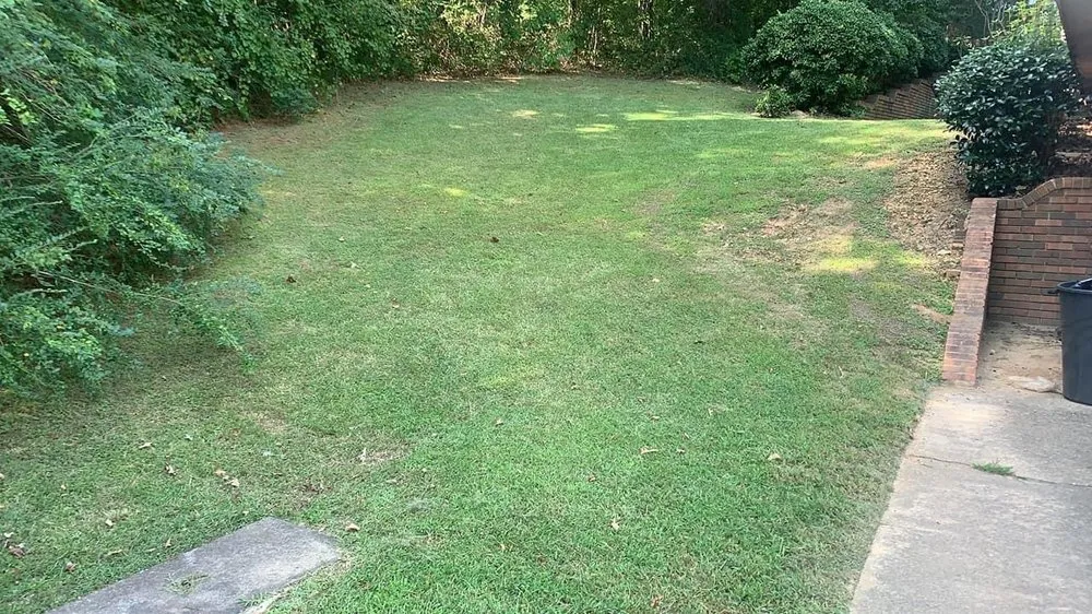 Reliable lawn mowing service experts serving Birmingham, AL - 5150 Landscape & Tree Services