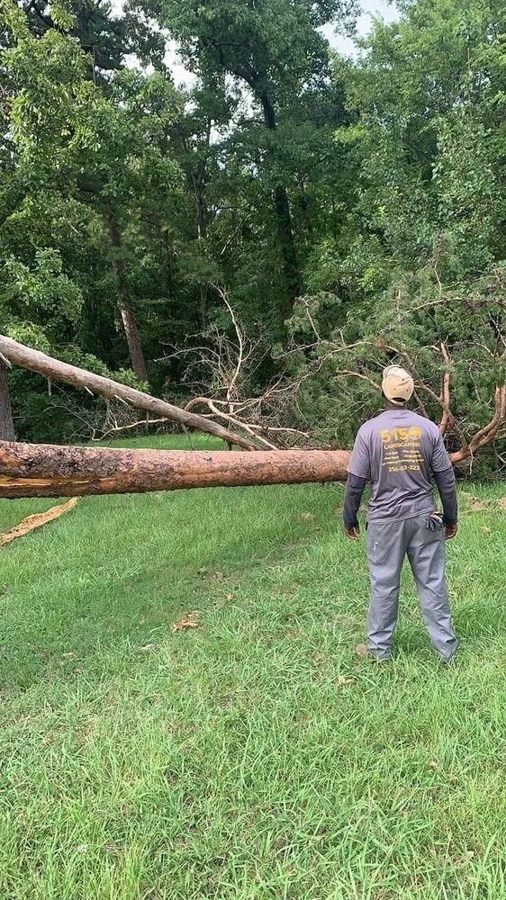 Professional yard maintenance with custom design across Birmingham, AL - 5150 Landscape & Tree Services