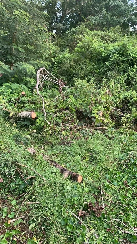 Expert garden landscaping in Birmingham, AL by 5150 Landscape & Tree Services