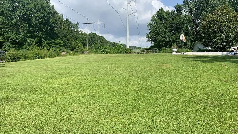 Top-rated landscape installation in Birmingham, AL - 5150 Landscape & Tree Services