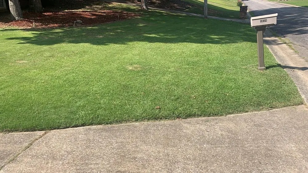 Professional lawn care service in Birmingham, AL by 5150 Landscape & Tree Services