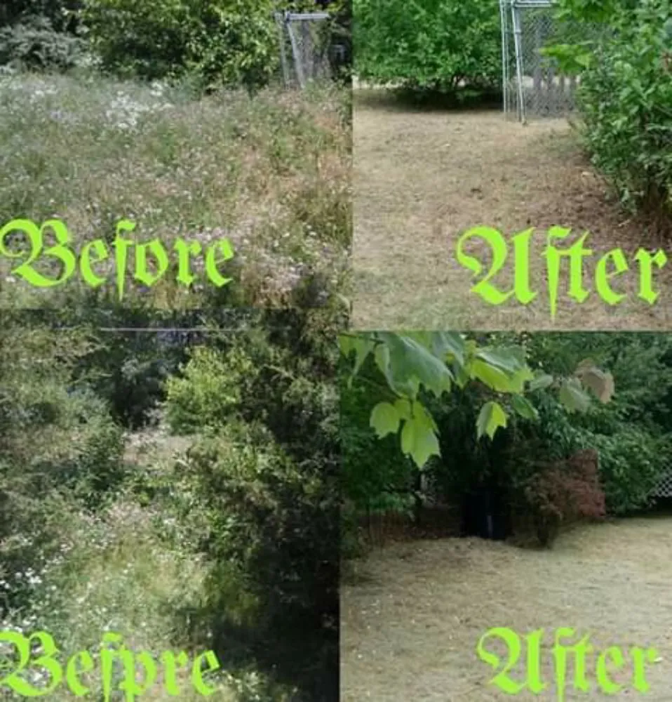 Professional landscape installation experts serving Pleasant Lake, MI - 517 Landscaping