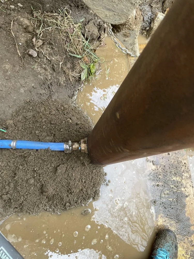 Reliable garden landscaping for year-round maintenance in Colonie, NY by 518 Elite Construction