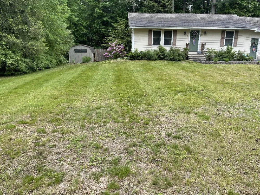 Professional yard cleanup service near you across Middleville, NY - 518 Turf Busters