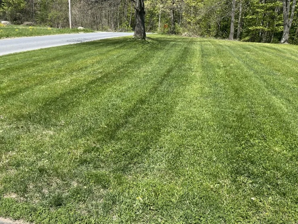 Professional landscape design with custom design in Middleville, NY by 518 Turf Busters