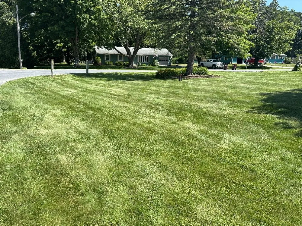 Expert residential landscaping in Middleville, NY by 518 Turf Busters