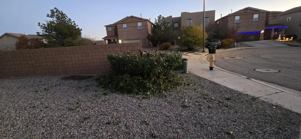 Expert outdoor landscaping in Rio Rancho, NM by 528 Legacy Landscaping