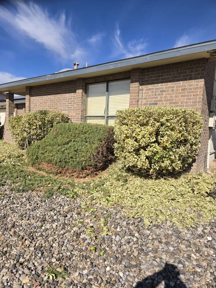 Reliable residential landscaping in Rio Rancho, NM - 528 Legacy Landscaping