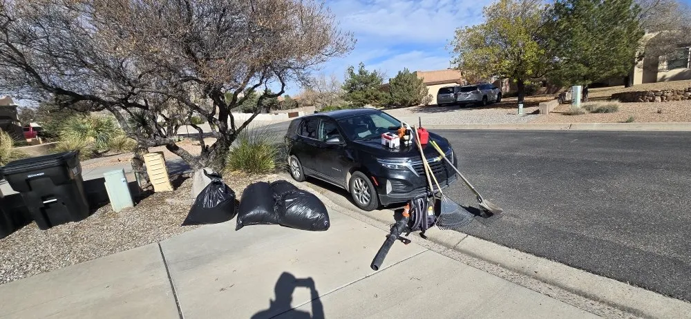 Trusted landscaping services in Rio Rancho, NM - 528 Legacy Landscaping