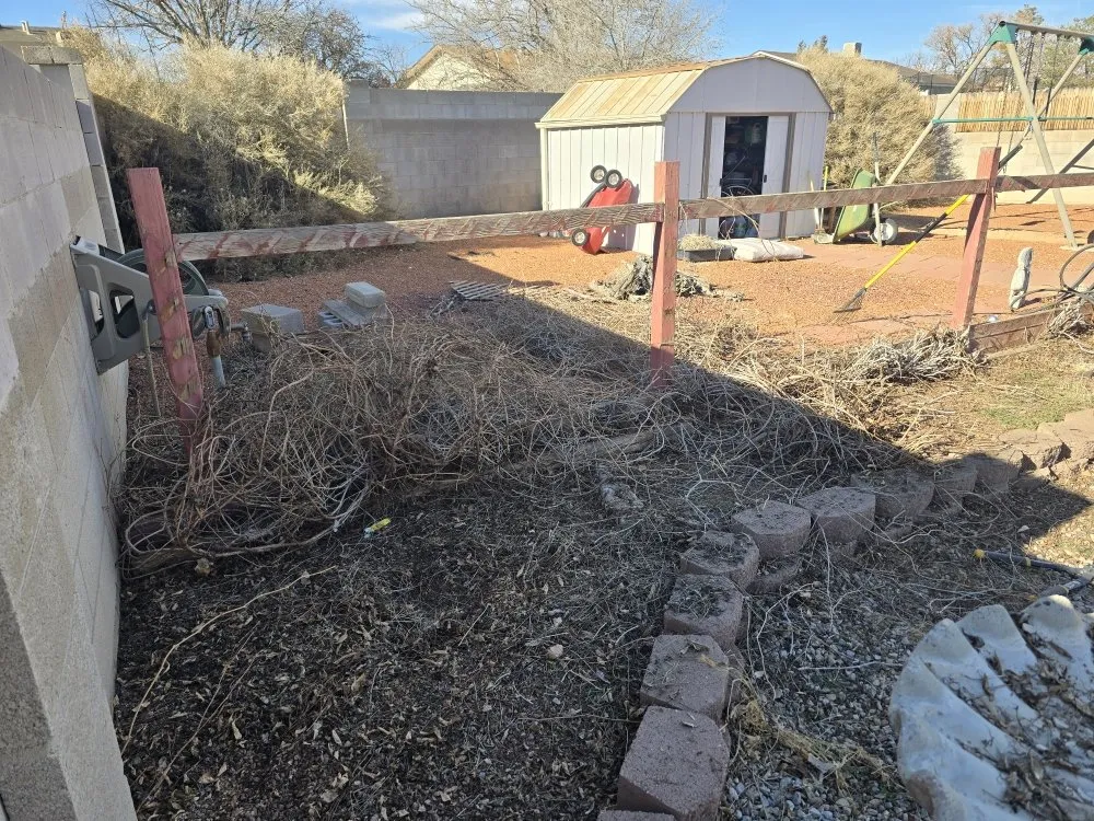 Expert landscaping services in Rio Rancho, NM - 528 Legacy Landscaping