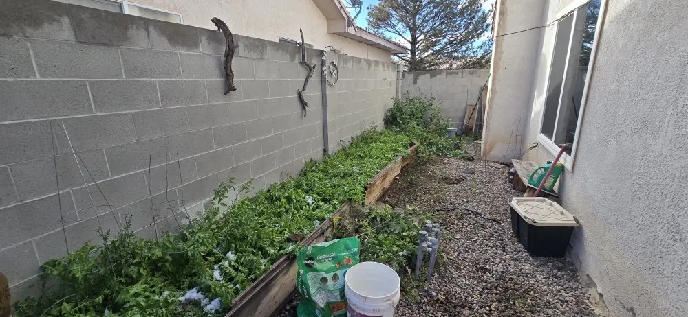 Custom garden landscaping for residential properties across Rio Rancho, NM - 528 Legacy Landscaping