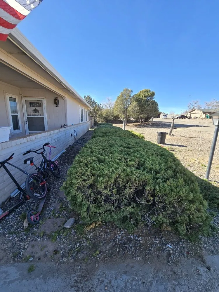 Local yard cleanup service experts serving Rio Rancho, NM - 528 Legacy Landscaping