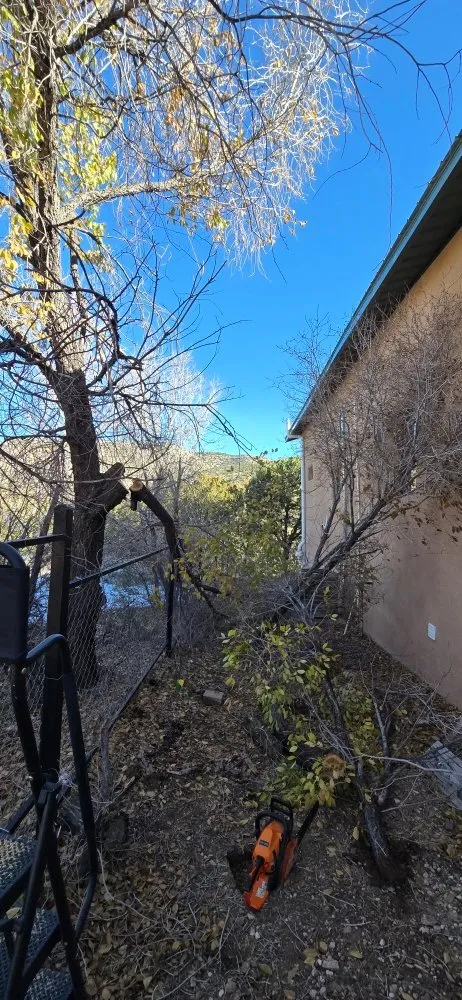 Affordable lawn mowing service experts serving Rio Rancho, NM - 528 Legacy Landscaping