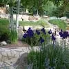 Top-rated yard maintenance experts serving Colorado Springs, CO - 5280 Landscaping and Design