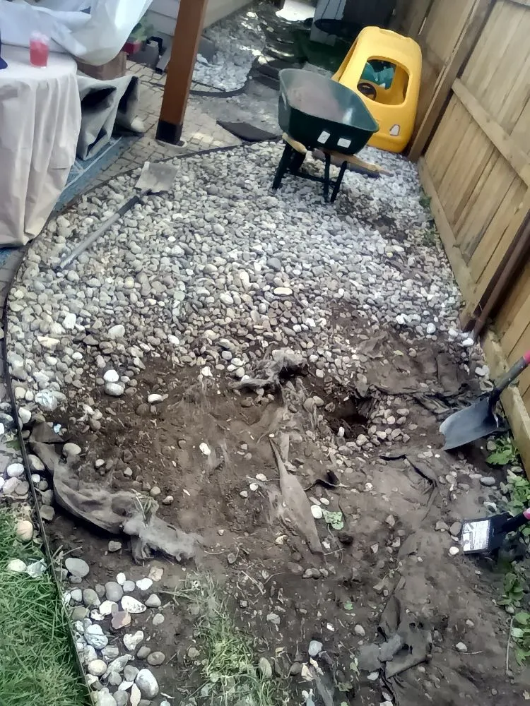 Affordable landscape installation in Arvada, CO - 5280 Lawn And Landscape