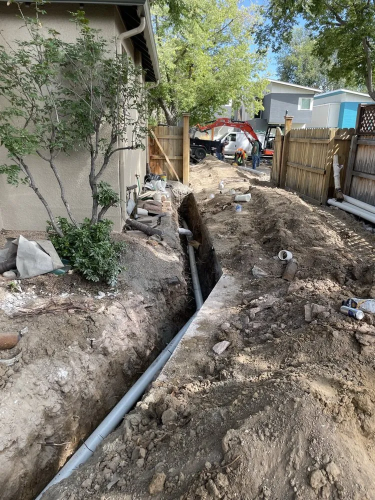 Expert lawn care service in Denver, CO - 5280 Pipeline