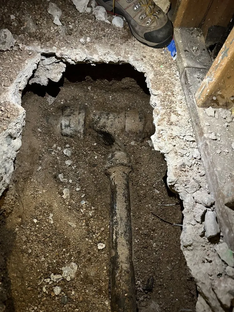 Professional yard maintenance in Denver, CO by 5280 Pipeline