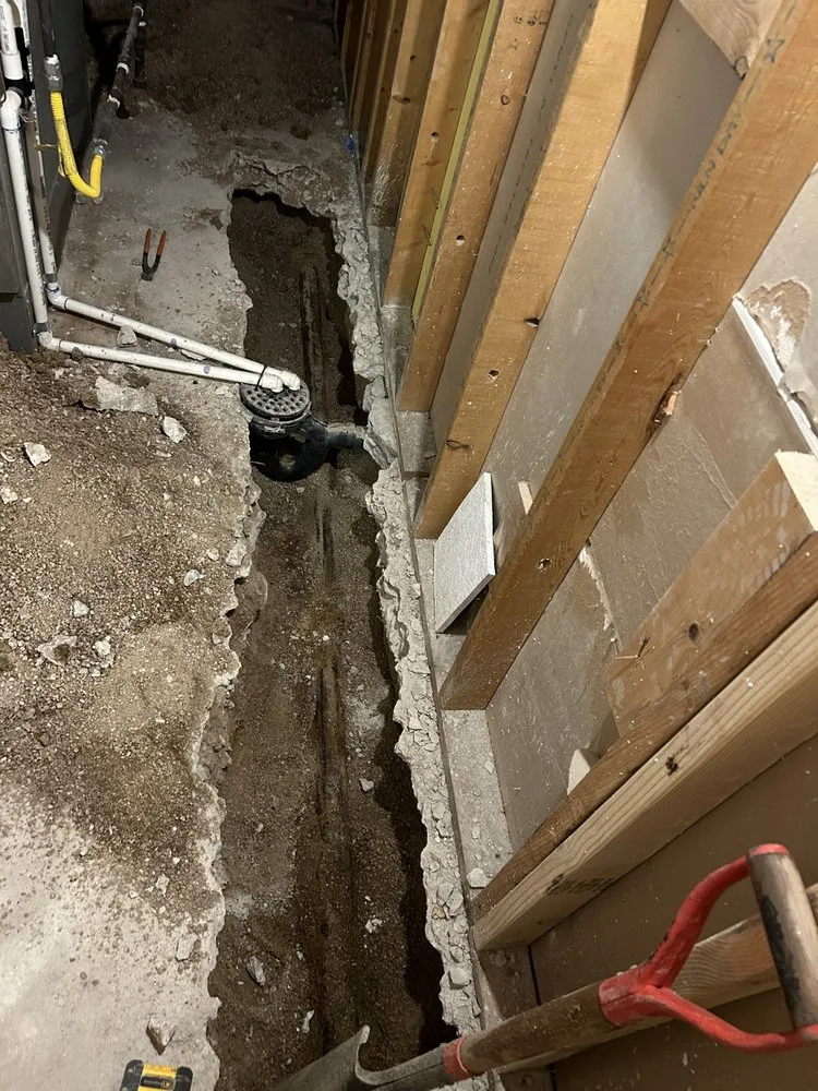 Top-rated yard maintenance in Denver, CO by 5280 Pipeline