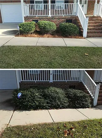 Expert landscape installation experts serving Westminster, CO - 5280 Property Professionals