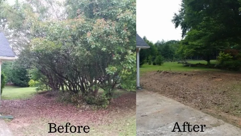 Professional landscape design in Westminster, CO by 5280 Property Professionals