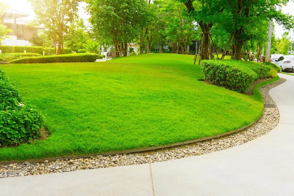 Reliable landscaping services for residential properties in Westminster, CO by 5280 Property Professionals