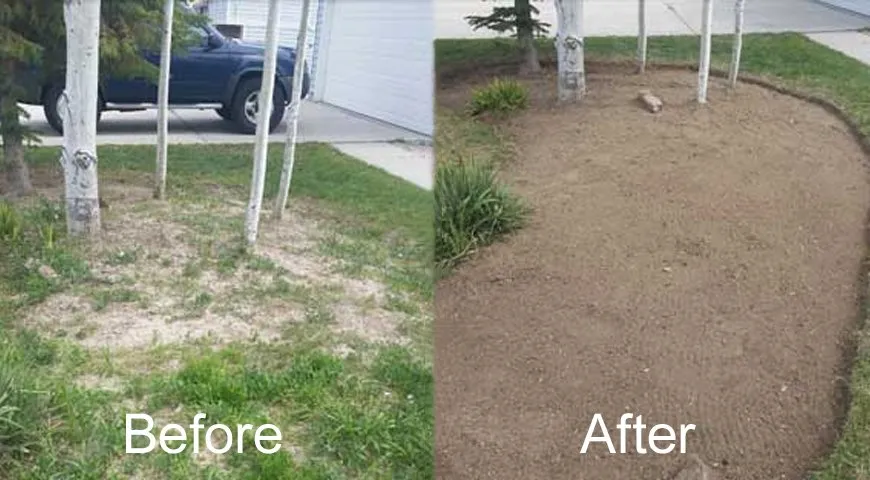 Local residential landscaping in Westminster, CO - 5280 Property Professionals