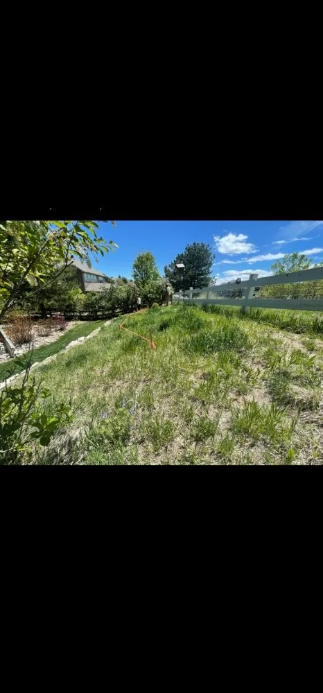 Top-rated outdoor landscaping with custom design across Parker, CO - 5280 Sky View