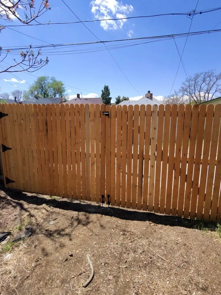 Reliable lawn mowing service in Parker, CO by 5280 Sky View