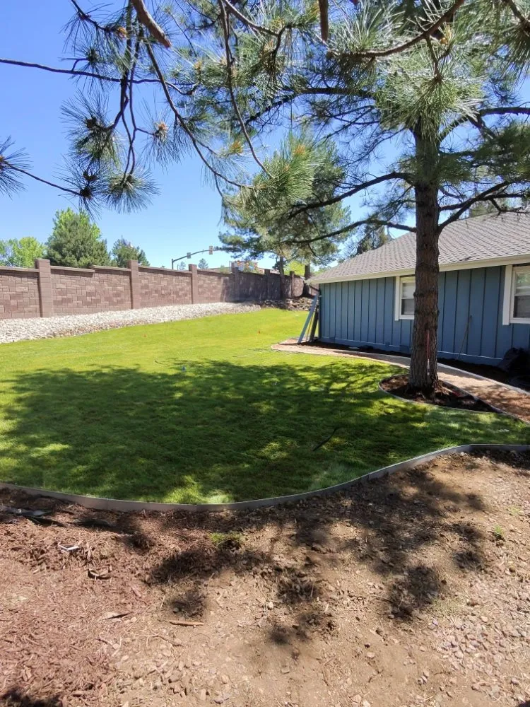 Reliable landscape installation for homes in Parker, CO by 5280 Sky View