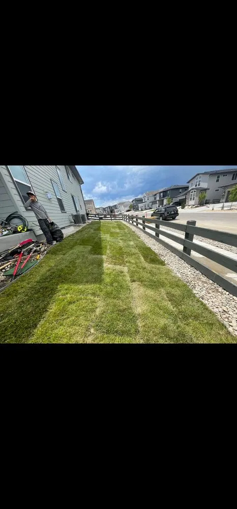 Affordable garden landscaping experts serving Parker, CO - 5280 Sky View