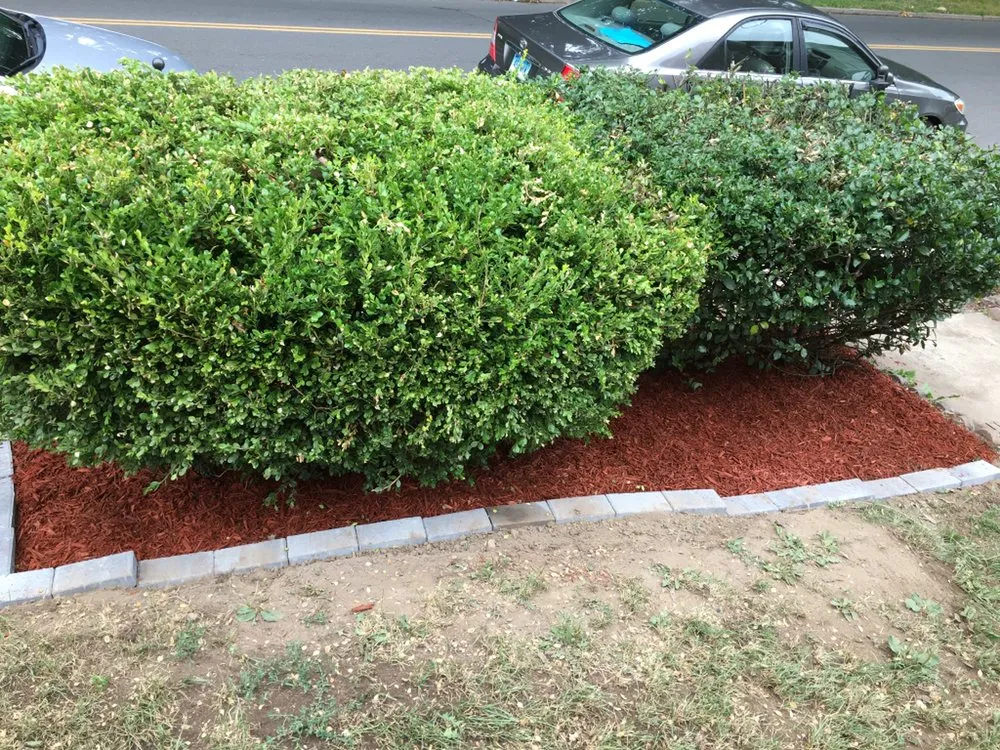 Reliable landscape installation for outdoor upgrades across Hartford, CT - 52Weekes Property Management