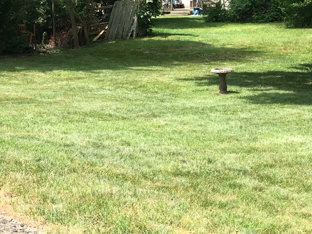 Local lawn mowing service for outdoor upgrades across Hartford, CT - 52Weekes Property Management