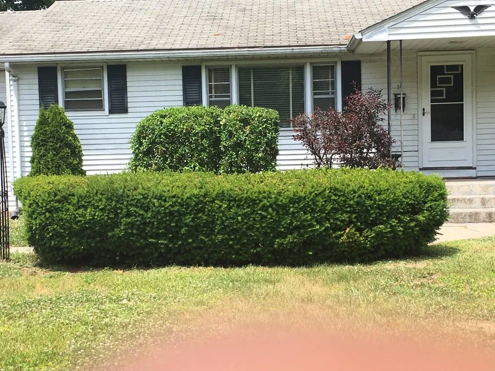 Local landscape design in Hartford, CT - 52Weekes Property Management