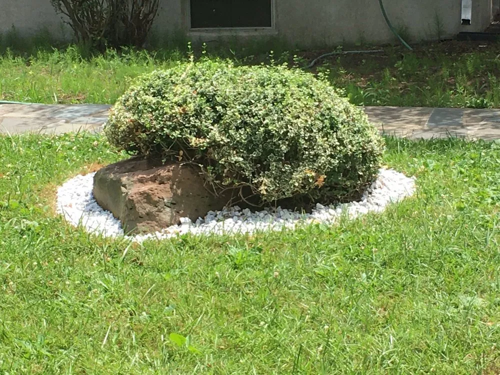 Reliable lawn mowing service near you across Hartford, CT - 52Weekes Property Management