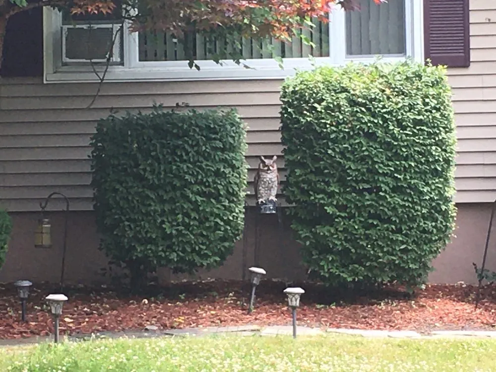 Affordable outdoor landscaping for outdoor upgrades across Hartford, CT - 52Weekes Property Management