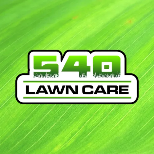 Expert landscape design for outdoor upgrades in Roanoke, VA by 540 Lawncare