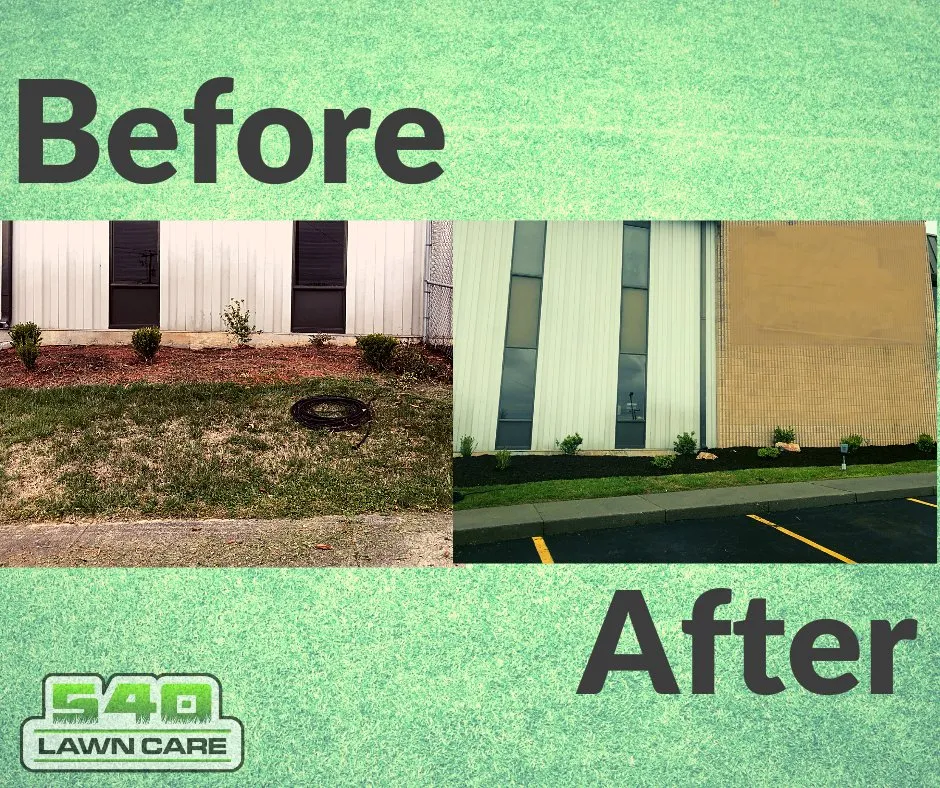 Professional yard cleanup service experts serving Roanoke, VA - 540 Lawncare