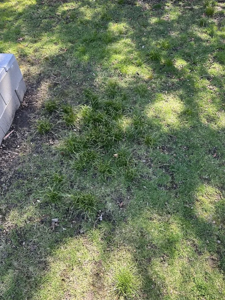 Local residential landscaping for residential properties in La Salle, IL by 5700 Growz