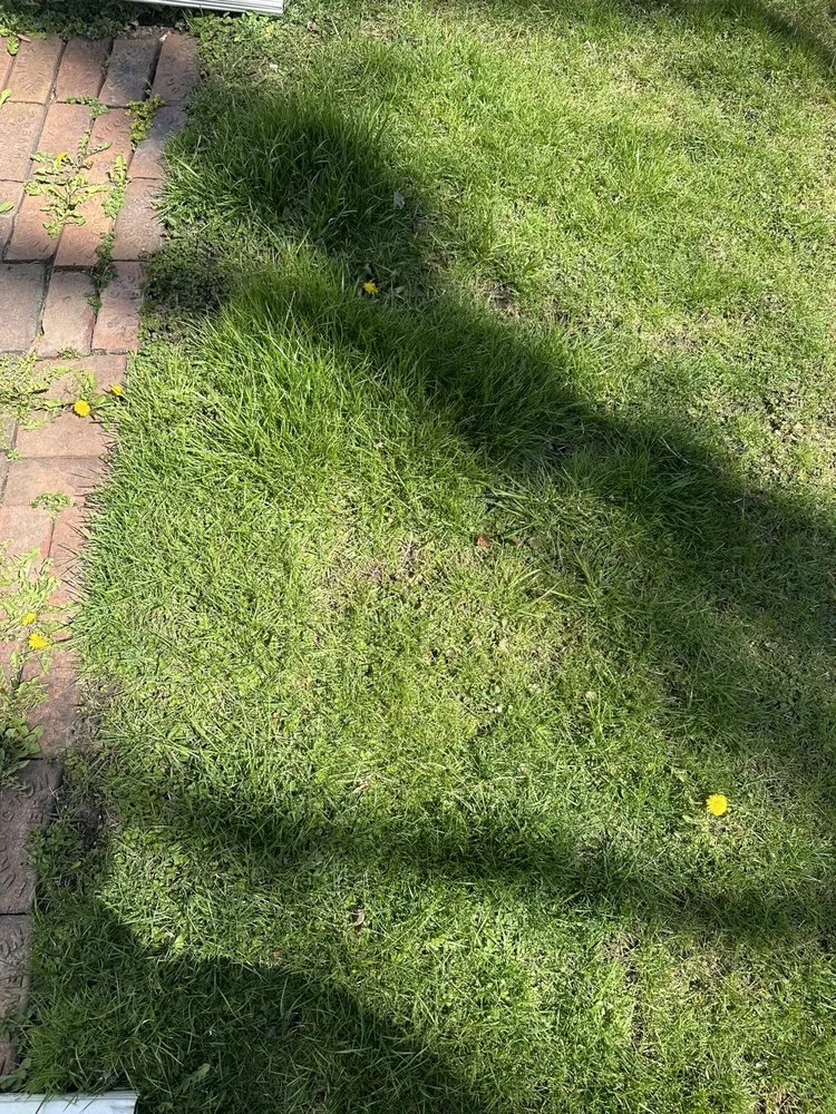 Local landscape design in La Salle, IL - 5700 Growz