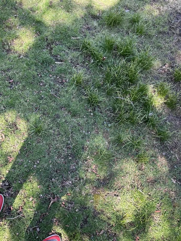 Top-rated garden landscaping experts serving La Salle, IL - 5700 Growz