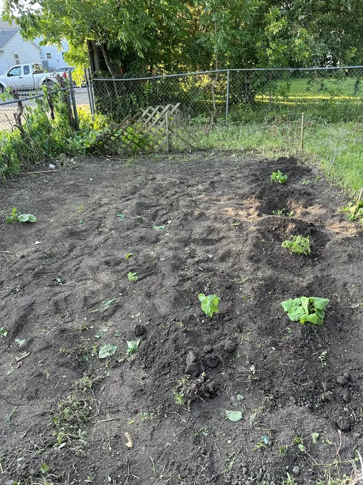 Trusted landscape design for homes across La Salle, IL - 5700 Growz