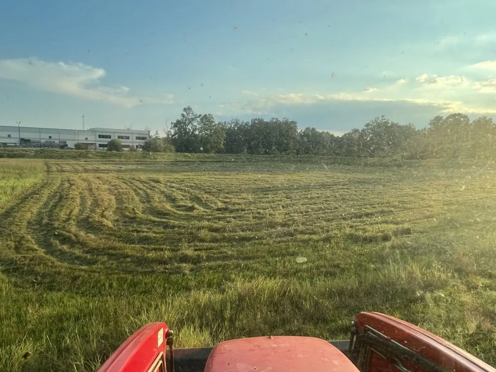 Professional garden landscaping in Cleveland, TX by 5c Agriculture