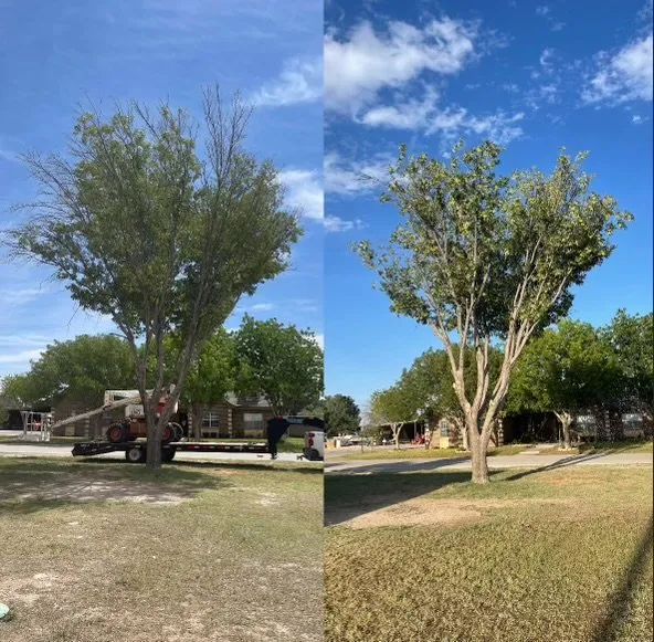 Trusted outdoor landscaping for outdoor upgrades in Thorntonville, TX by 5K Services