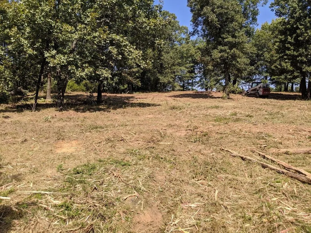 Top-rated lawn care service in Fayetteville, AR by 5Q Land Services