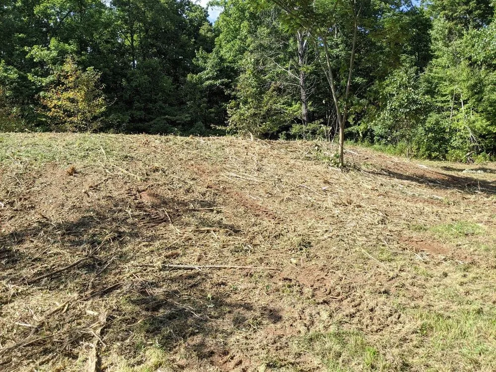 Expert landscape installation in Fayetteville, AR - 5Q Land Services