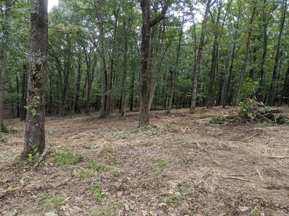 Local outdoor landscaping experts serving Fayetteville, AR - 5Q Land Services