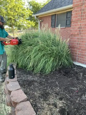 5S Lawncare
