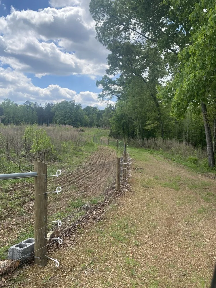 Top-rated outdoor landscaping for residential properties across Stanfield, NC - 5Y Fencing